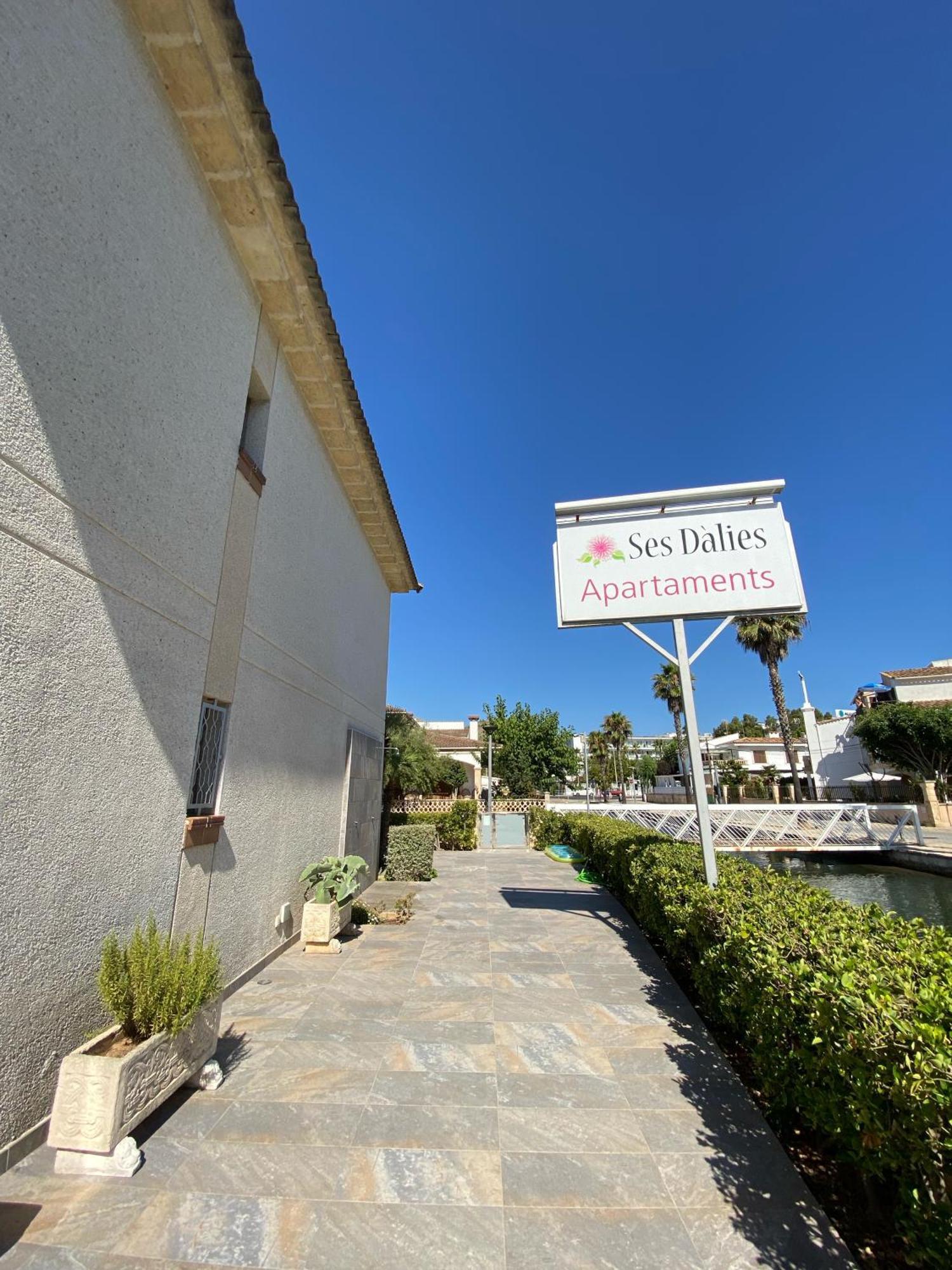 Apartaments Ses Dàlies Port d'Alcúdia Extérieur photo