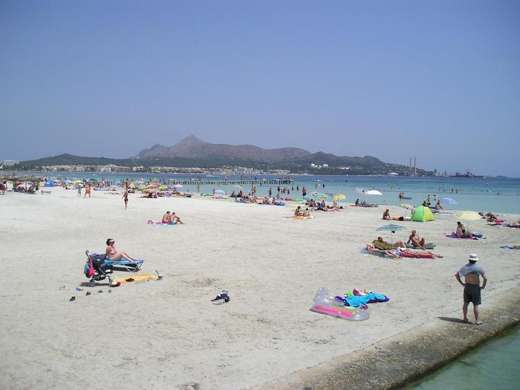 Apartaments Ses Dàlies Port d'Alcúdia Extérieur photo