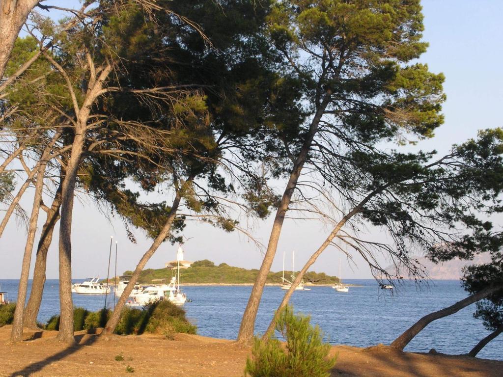 Apartaments Ses Dàlies Port d'Alcúdia Extérieur photo
