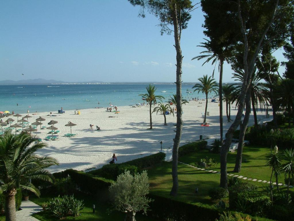 Apartaments Ses Dàlies Port d'Alcúdia Extérieur photo