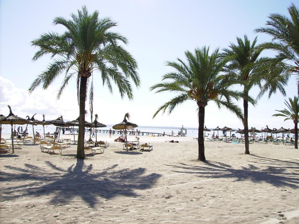 Apartaments Ses Dàlies Port d'Alcúdia Extérieur photo
